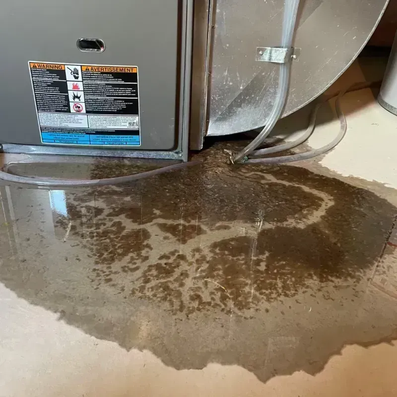 Appliance Leak Cleanup in Guernsey, WY